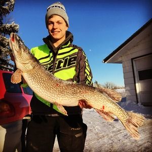 Meet your Posher, Nathan